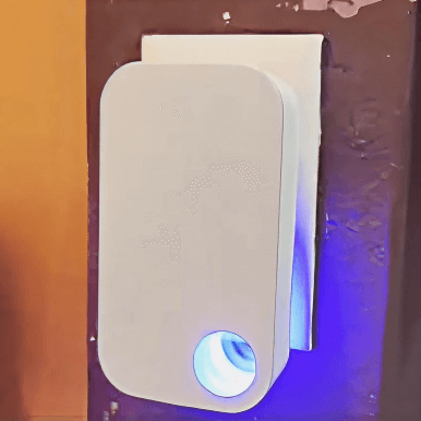 Testimonial Image 10